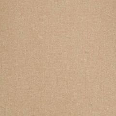 Robert Allen Boho Tex Bk Dune 509698 Indoor Upholstery Fabric