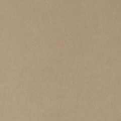 Beacon Hill Alpaca Velvet Champagne Indoor Upholstery Fabric