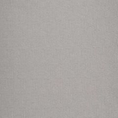 Robert Allen Contract Pixel Plush Stone 509978 Value Upholstery Collection Indoor Upholstery Fabric