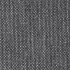 Christian Fischbacher Sonnen-Klar Thunder Gray CH 01154431 Urban Luxury Collection Upholstery Fabric