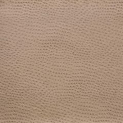 Kravet Design Beige Delaney 1616 Indoor Upholstery Fabric