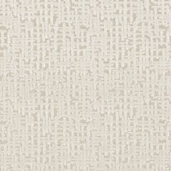 Suburban SV16319 Snow 81 Indoor Upholstery Fabric