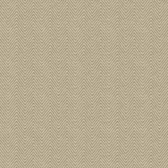 Kravet Contract Grey 4162-11 Wide Illusions Collection Drapery Fabric