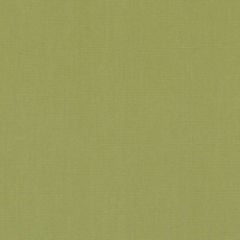 Duralee Dk61731 213-Lime 511808 Indoor Upholstery Fabric