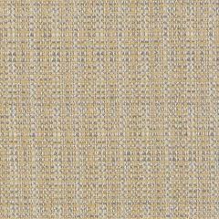 Duralee DW16211 Antique Gold 62 Indoor Upholstery Fabric