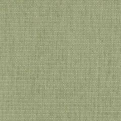 Duralee DW16217 Green 2 Indoor Upholstery Fabric