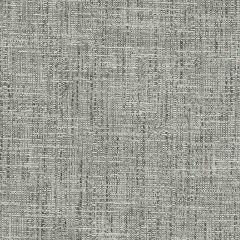 Duralee DW16219 Grey 15 Indoor Upholstery Fabric