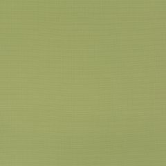 Duralee DW16307 Green 2 Indoor Upholstery Fabric