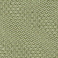 Duralee DU16346 Peridot 579 Upholstery Fabric