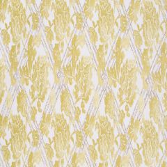 Robert Allen Floral Lattice Zest 513204 At Home Collection Indoor Upholstery Fabric