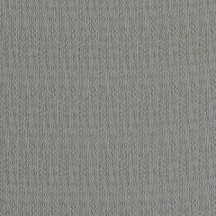 Robert Allen Contract Coil Stone 514658 Indoor Upholstery Fabric