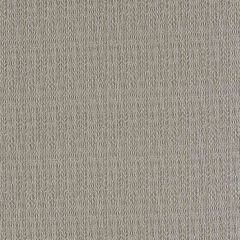 Robert Allen Contract Coil Pewter 514659 Indoor Upholstery Fabric