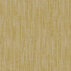 Duralee Contract Dn16380 677-Citron 514709 Indoor Upholstery Fabric