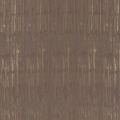 Robert Allen Contract Tutela Latte 514887 Drapery Fabric