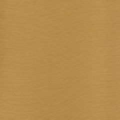 Robert Allen Contract Magus Linia 14 Karat 514898 Drapery Fabric