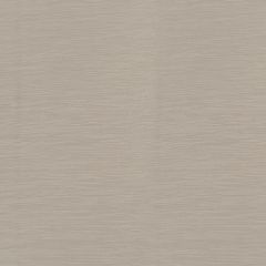 Robert Allen Contract Magus Linia Sandstone 514901 Drapery Fabric