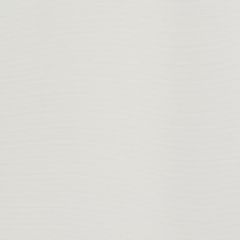 Robert Allen Contract Magus Linia Pearl 514909 Drapery Fabric