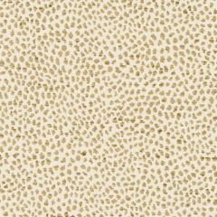 Duralee DW61845 Almond 509 Indoor Upholstery Fabric