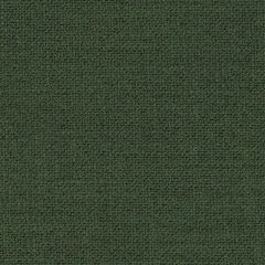 Duralee DK61830 Evergreen 323 Indoor Upholstery Fabric