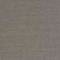 Robert Allen Contract Ruzgar Pewter 516275 Indoor Upholstery Fabric