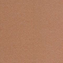 Robert Allen Contract Mahsenli Sienna 516887 Indoor Upholstery Fabric