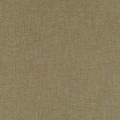 Robert Allen Contract Abazli Citron Indoor Upholstery Fabric