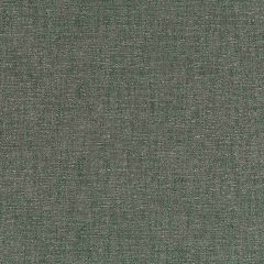 Robert Allen Contract Abazli Hunter Green Indoor Upholstery Fabric