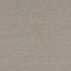 Robert Allen Contract Abazli Linen Indoor Upholstery Fabric