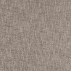 Robert Allen Contract Borucu Concrete Indoor Upholstery Fabric