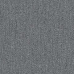 Perennials Sheen Queen Platinum 625-207 The Usual Suspects Collection Upholstery Fabric