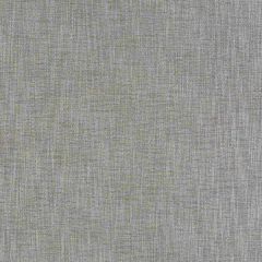 Robert Allen Contract Borucu Stone Indoor Upholstery Fabric