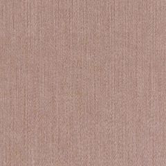 Robert Allen Contract Taspinar Sienna 517597 Indoor Upholstery Fabric