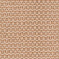 Robert Allen Contract Clyde Park Mandarin 517676 Indoor Upholstery Fabric