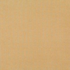 Robert Allen Contract Kalispell Marigold Indoor Upholstery Fabric