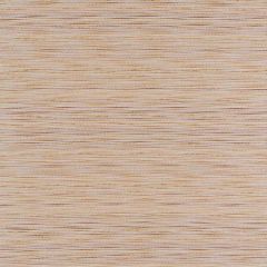 Robert Allen Contract Polson Mandarin 517692 Indoor Upholstery Fabric