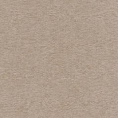 Robert Allen Contract Wenatchee Taupe 517843 Multipurpose Fabric