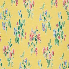 Robert Allen Halsey Place Daffodil 517917 Madcap Crypton Home Collection Indoor Upholstery Fabric