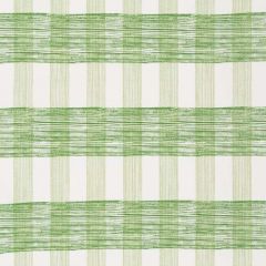Robert Allen Georgica Lake Celery 517929 Madcap Crypton Home Collection Indoor Upholstery Fabric