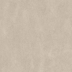 Duralee Contract Df16289 16-Natural 518729 Indoor Upholstery Fabric