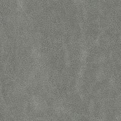 Duralee Contract DF16289 Stone 435 Indoor Upholstery Fabric