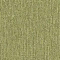 Duralee Contract DF16290 Wasabi 609 Indoor Upholstery Fabric