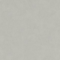 Duralee Contract DF16285 Silver 248 Indoor Upholstery Fabric