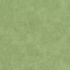 Duralee Contract DF16285 Pistachio 399 Indoor Upholstery Fabric