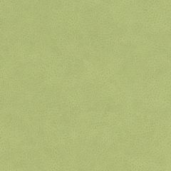 Duralee Contract Df16285 546-Keylime 518762 Indoor Upholstery Fabric