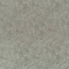 Robert Allen Etched Weave Platinum Home Upholstery Collection Indoor Upholstery Fabric