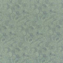 Robert Allen Etched Weave Patina Home Upholstery Collection Indoor Upholstery Fabric