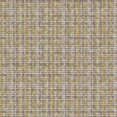 Suburban Su16387 533-Celery 519137 Indoor Upholstery Fabric