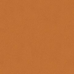 Kravet Ossy Red 212 Indoor Upholstery Fabric