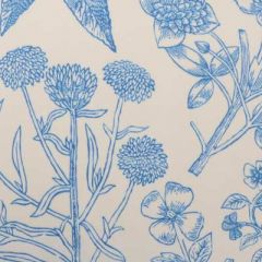 Duralee Conservatory-Blue by Thomas Paul 21069-5 Decor Fabric
