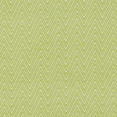 Duralee Apple Green DW61833-212 Pirouette All Purpose Collection Multipurpose Fabric